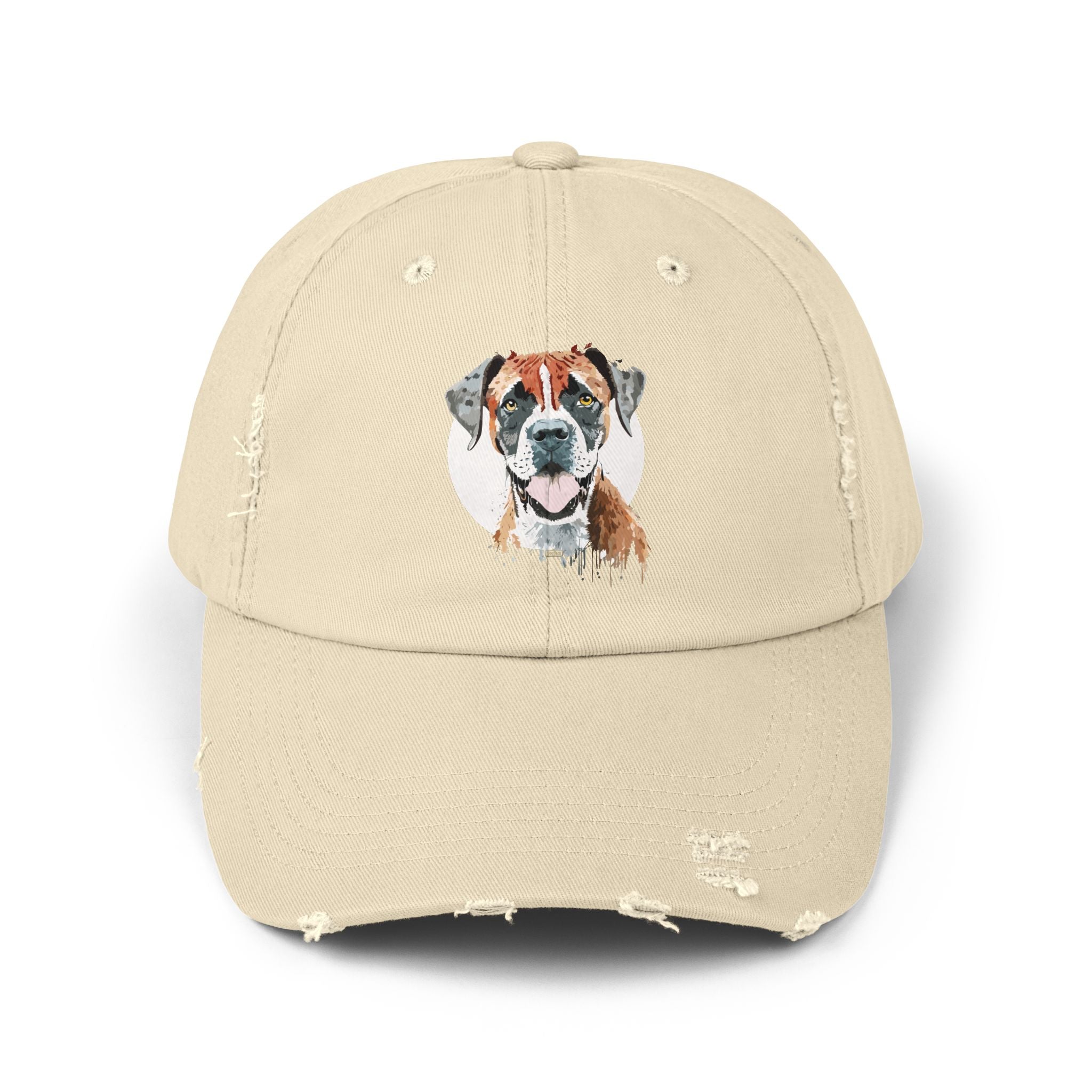 Boxer #1 Distressed Cap