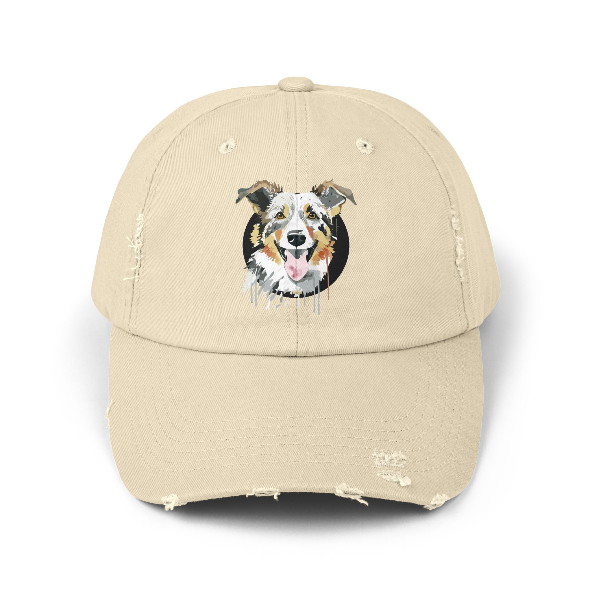 Border Collie #2 Distressed Cap